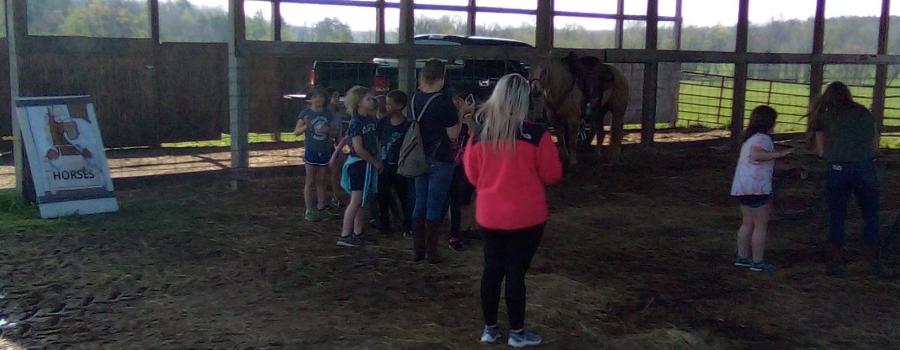 Group of 2nd graders around a horse at the Ag Day 22